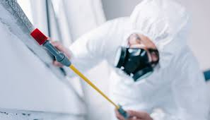 Best Residential Pest Control  in Fairmount, NY